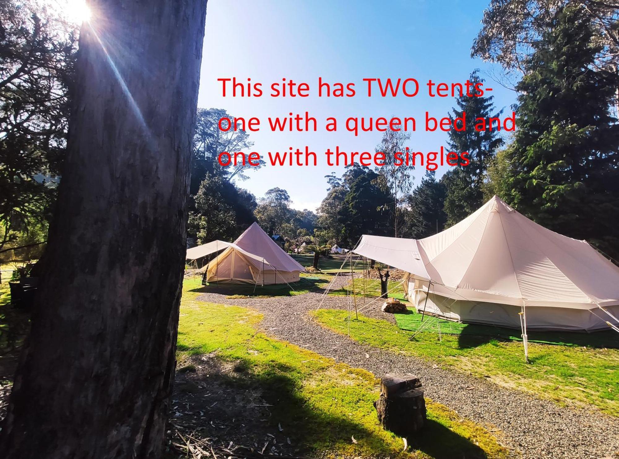 Glamping At Zeehan Bush Camp Hotel Luaran gambar